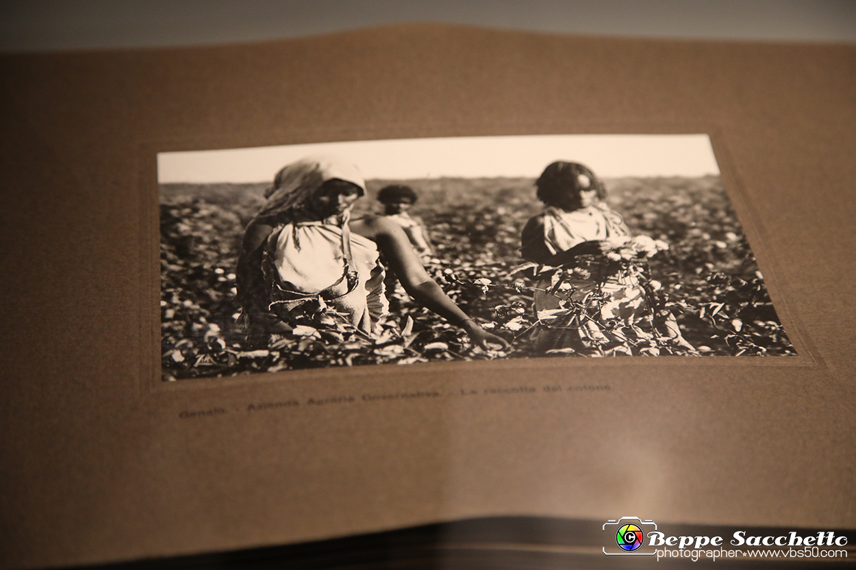 VBS_5590 - Africa - Le collezioni dimenticate.jpg